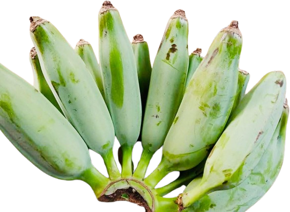 Kach Kola (Tonnyee Kola)