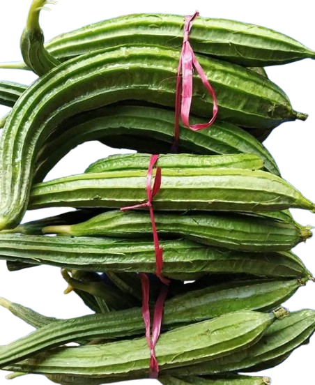 Pahari Jinga