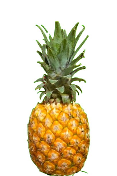 Anaros