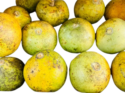 Pahari Bel
