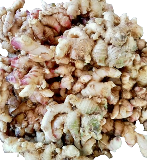 Pahari Ada