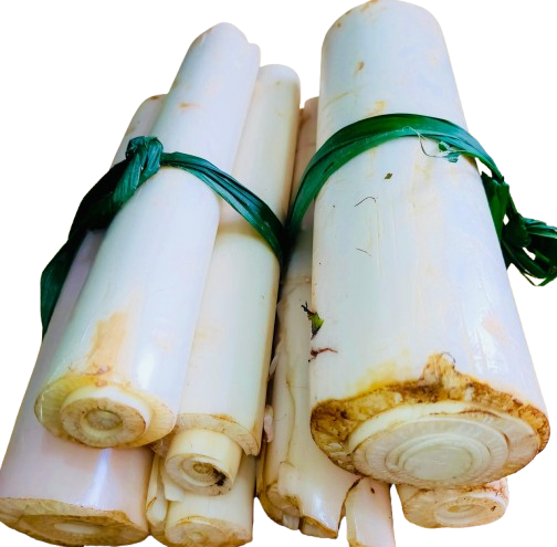 Pahari Kola Gach