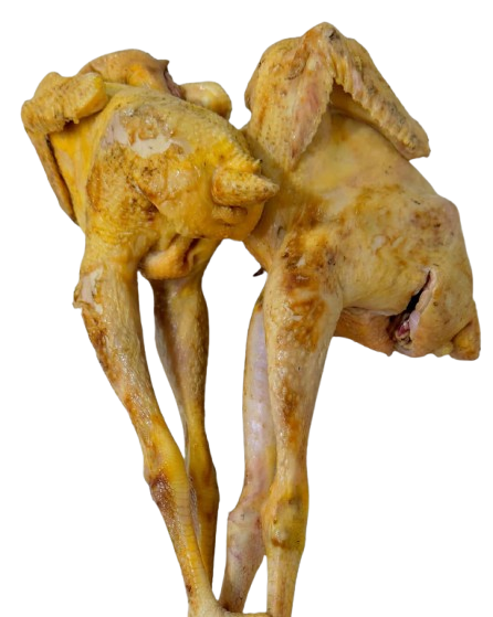 Pahari Murgi (Process)