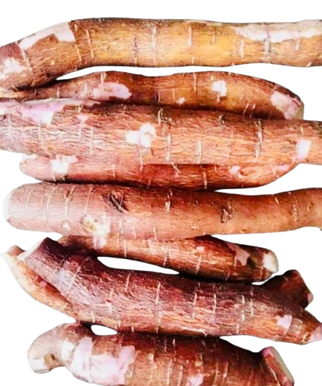 Shimul Alu